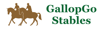 Site Logo Centered